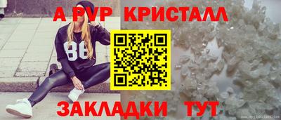 твердый Будённовск