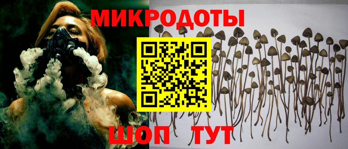 Псилоцибиновые грибы ЛСД Менделеевск
