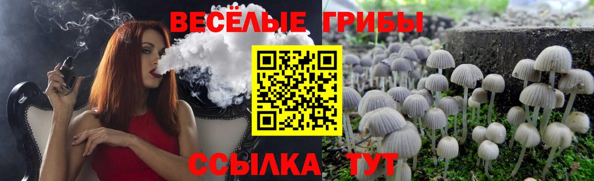 Галлюциногенные грибы прущие грибы  Вход с VPN  Менделеевск 